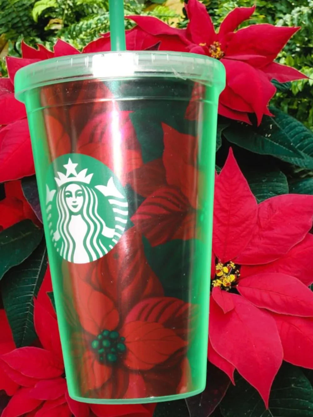 Starbucks 2020 Holiday Christmas Red Green Poinsettia Cold Drink Tumbler